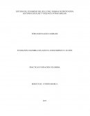 ESTUDIO FENÓMENO DEL BULLYING