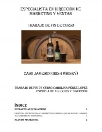 Especialista en dirección de marketing y ventas Trabajo de fin de curso. Página 1