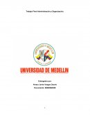 Administracion y organizaciones, empresa. Almacén Ciclo Vargas