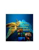 Impacto de la cuarentena en las especies marinas