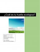¿Cuál es tu Huella ecológica?