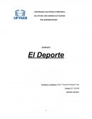 Deportes. Importancia del Deporte