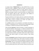 Diagnostico externo interno