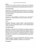 CITAS PARA REFLEXIONAR EPISTEMOLOGIA