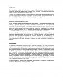 Envejecimiento de piel