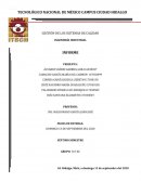 INFORME CALIDAD