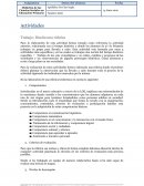 Trabajo: Diseña una rúbrica