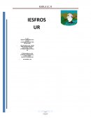 Introducción de proyectos