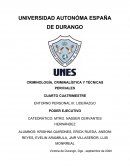 El Liderazgo. Poder Ejecutivo