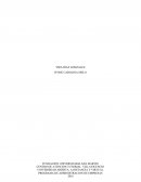 OBJETIVO ESTRATÉGICO EN LA CADENA DE SUMINISTROS