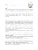 Proyecto Final de Carrera / Título “Diseñador Gráfico”