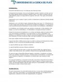 El desarrollo del ser humano