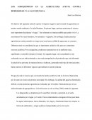 LOS AGROQUÍMICOS EN LA AGRICULTURA ATENTA CONTRA BIODERSIDAD Y LA SALUD HUMANA