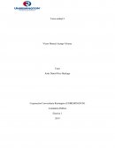 Tributaria.Contaduría Pública