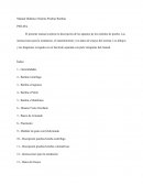 Manual Didáctico Sistema Pruebas Bombas