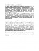 Psicología aplicada la ámbito social