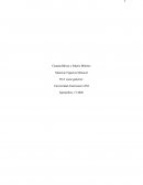 Investigacion de salario minimo y canasta basica