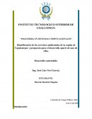 Identificación de los servicios ambientales de la región de Tepalcatepec y propuesta para el desarrollo aparir de uno de ellos