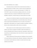 EVOLUCION HISTORICA DE LA FAMILIA