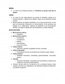 Mision y vision micro y macro entorno Soprole