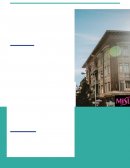 Caso empresa Mistine