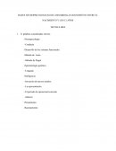 BASES NEUROPSICOLOGICAS DEL DESARROLLO GOGNOSITIVO ENTRE EL NACIMIENTO Y LOS 12 AÑOS