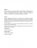 Realizar auditoria a la pagina web