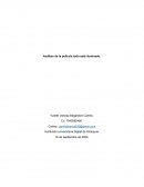 Análisis de la película todo está iluminado