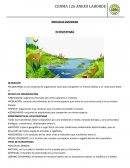 SÍNTESIS DE CONTENIDO ECOSISTEMA
