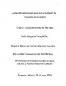 Proyectos de Inversión.Comportamiento del mercado