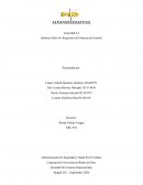 Cuadro comparativo SIG