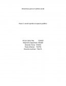 Directrices para el cambio social
