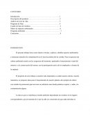 PLAN DE MANEJO AMBIENTAL