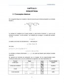 CAPÍTULO I PERCEPTRON