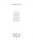 CASO METALURGICA SANTA RITA S.A