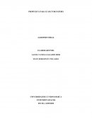 PROPUESTA PARA EL SECTOR PAPERO