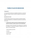TAREA PLAN DE NEGOCIOS