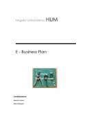 Proyecto de E - Business Plan