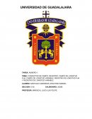 CONCEPTOS DE CAMPO, REGISTRO, CAMPO DE LONGITUD FIJA, CAMPO DE LONGITUD VARIABLE, REGISTRO DE LONGITUD FIJA Y REGISTRO DE LONGITUD VARIABLE