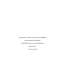 Organizaciones y normas que regulan la Contabilidad