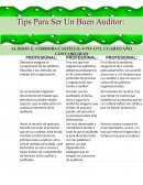 TIPS PARA SER UN BUEN AUDITOR
