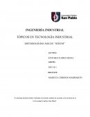 TÓPICOS EN TECNOLOGÍA INDUSTRIAL METODOLOGÍAS ÁGILES: “SCRUM”