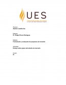 Ensayo sobre pasos del estudio de mercado