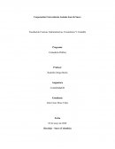 Programa Contaduría Pública