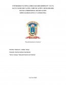 Ensayo Académico del Descubrimiento de América
