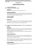 FORMATO 10 ESPECIFICACIONES TECNICAS - MODIFICADO