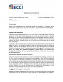 GERENCIA DE PROYECTOS