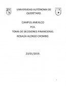 TOMA DE DECISIONES FINANCIERAS