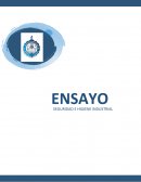 Seguridad e higiene historia