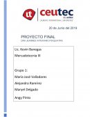 Proyecto Final Mercadotecnia III